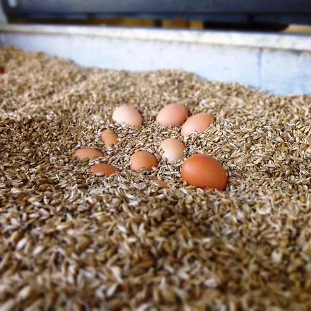 هيل هوف شقة