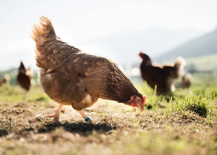 Hell Hof Apartmán Innsbruck