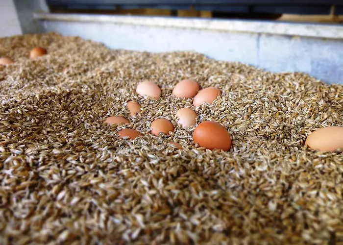 Hell Hof Апартаменты